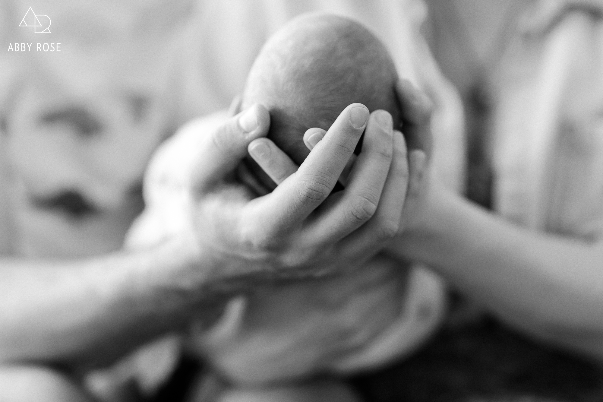 ann arbor newborn photography02