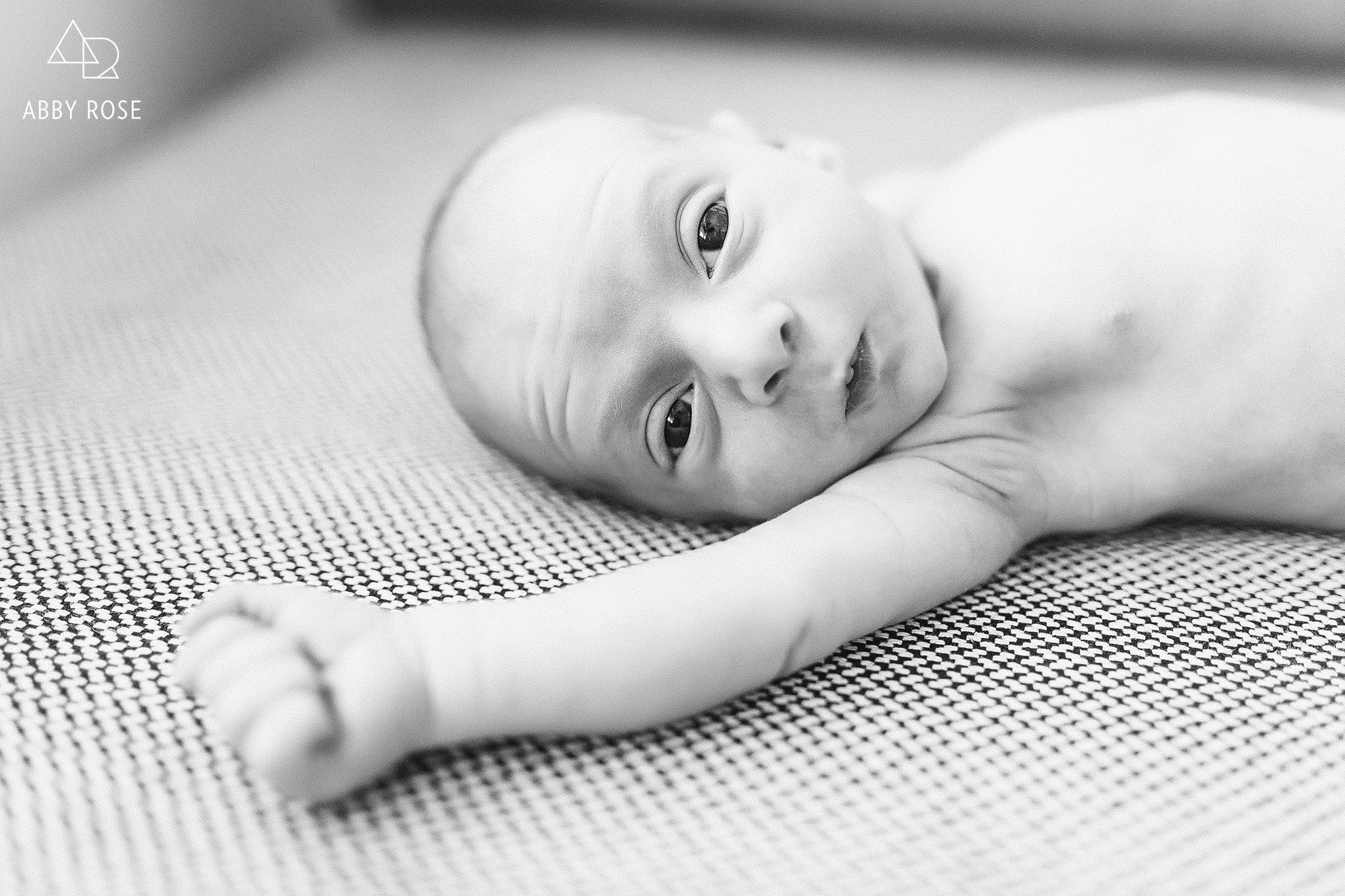 ann arbor newborn photography04