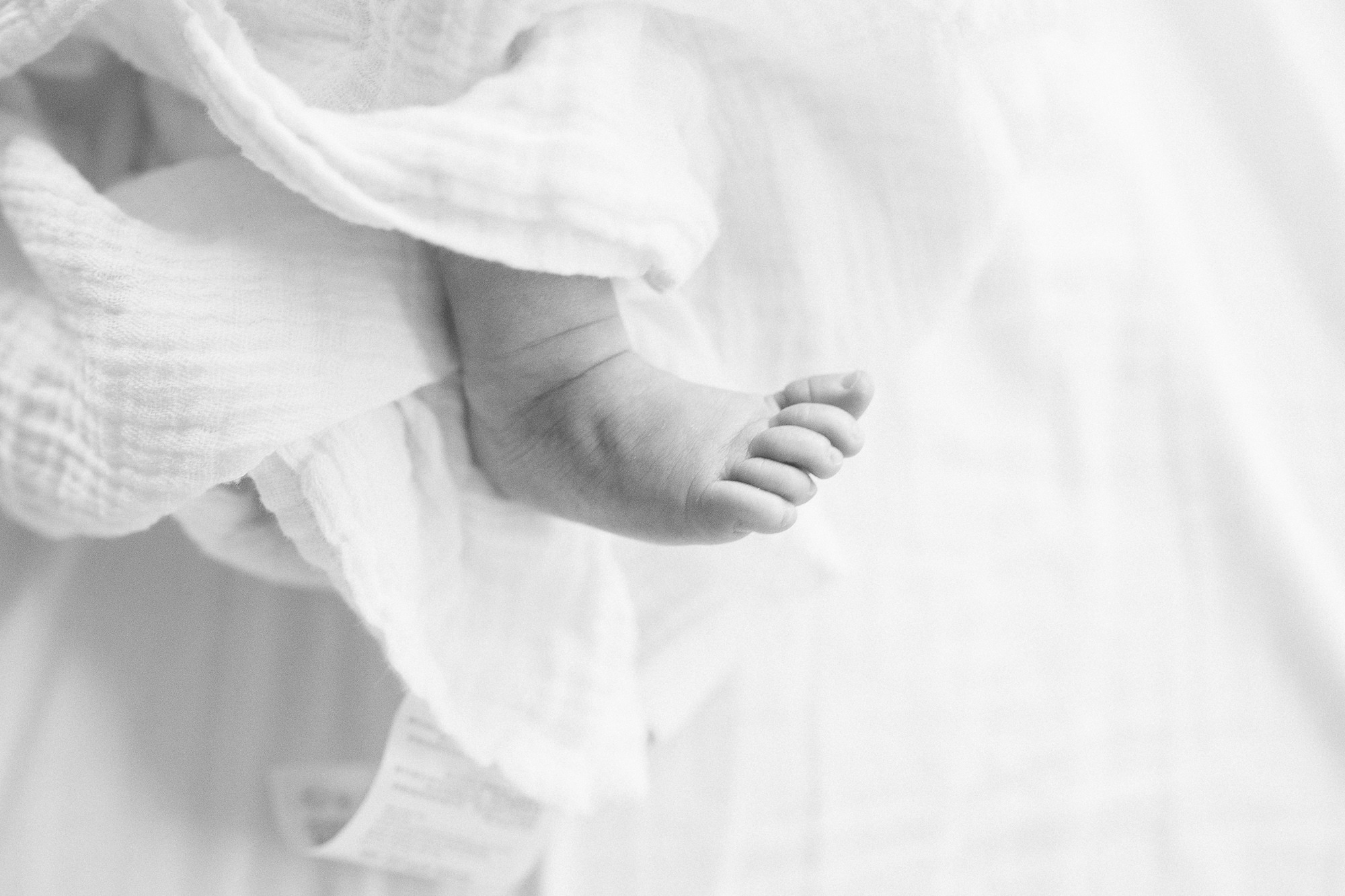 fine-art-black-and-white-newborn-photography-ann-arbor08
